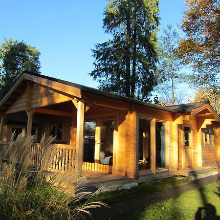 Hderh - Eco Lodge Op Vakantiepark De Ijsvogel, Zwembaden, Kids Fun, Natuur En Rust フォールトハイゼン エクステリア 写真